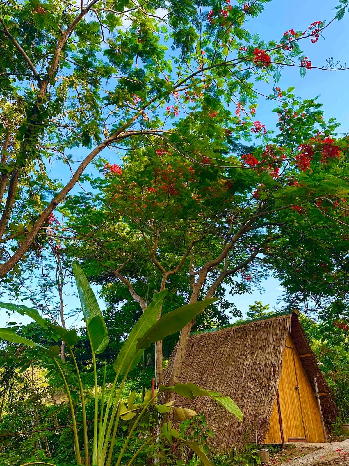 Secret Hut 6 (Premium)