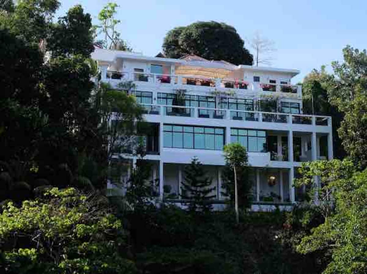The French Villa – Busay — photo 6