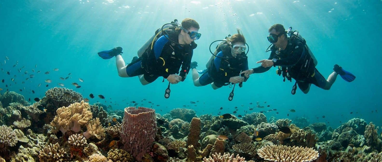 Open Water Certification
