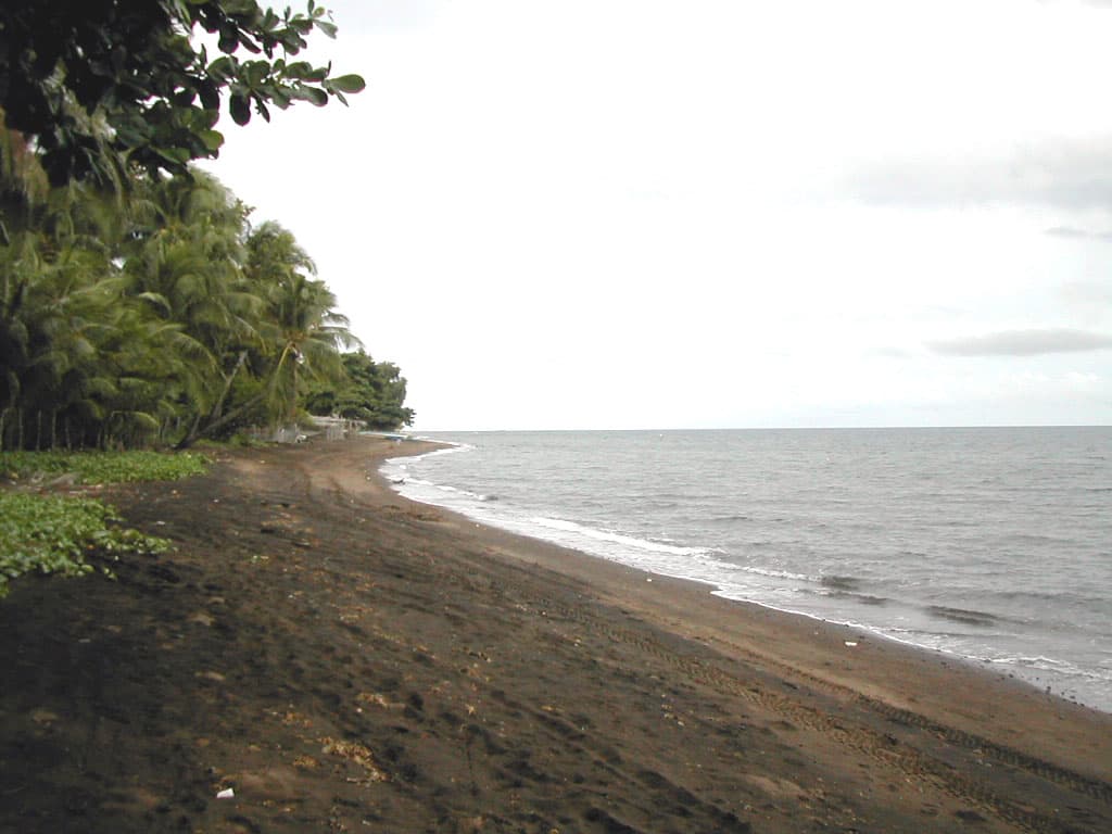 Dauin Muck-Diving