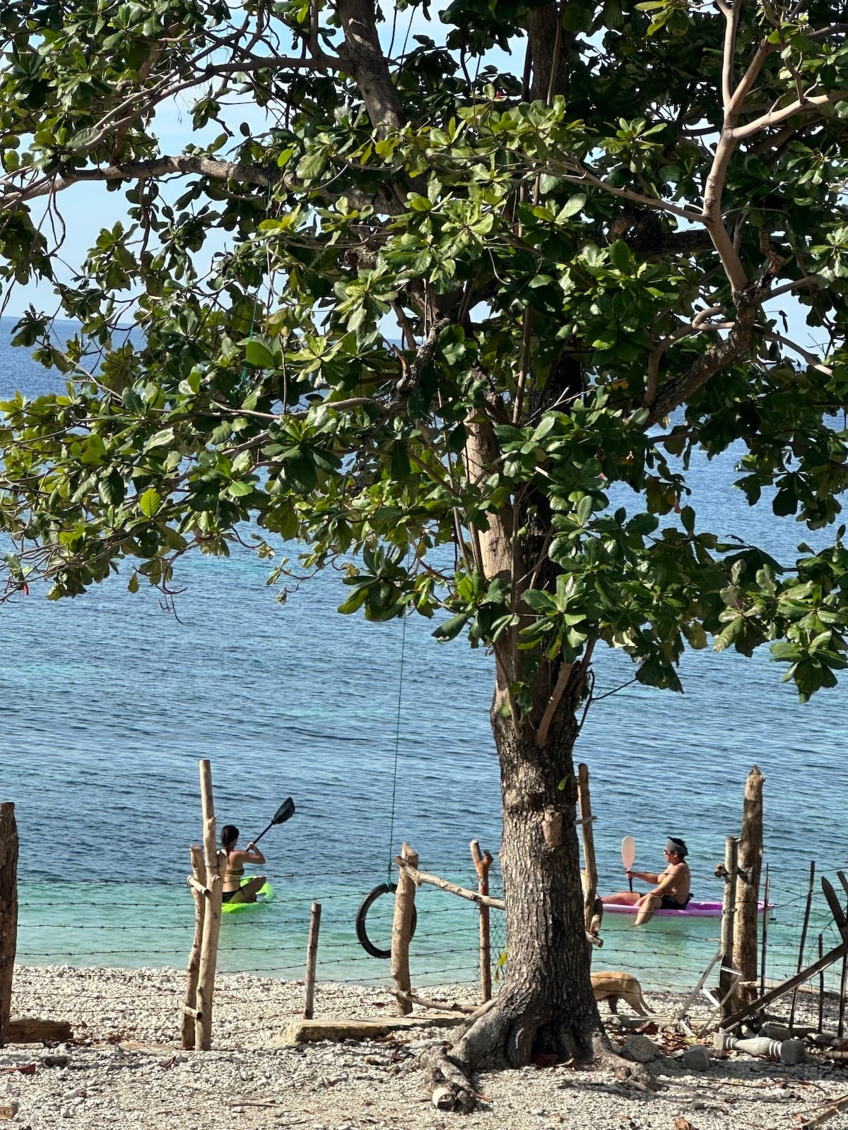 Guests kayaking from the clear beachfront water at G Boutique Resort