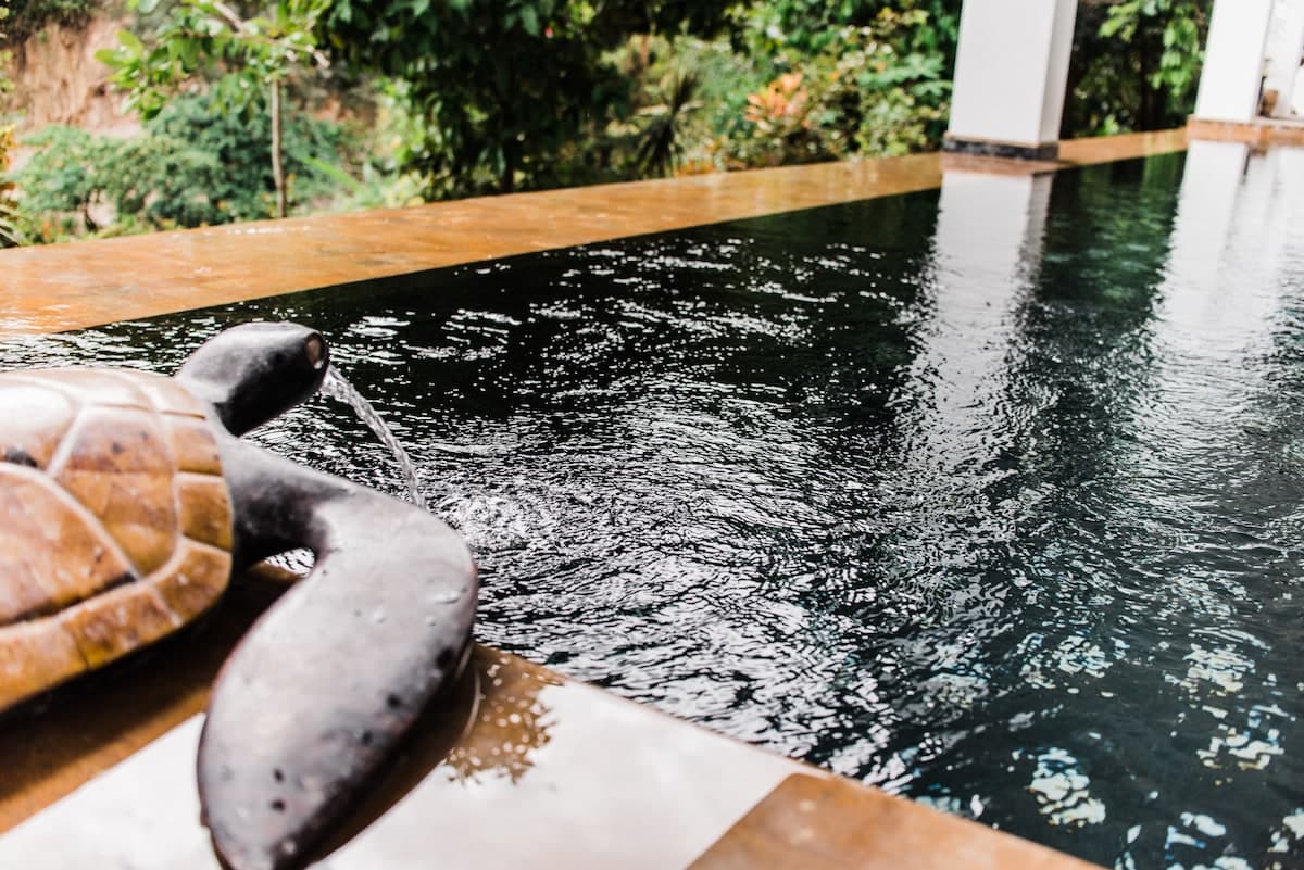 Poolside timber